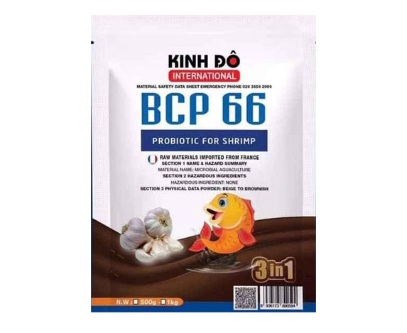 BCP-66-1